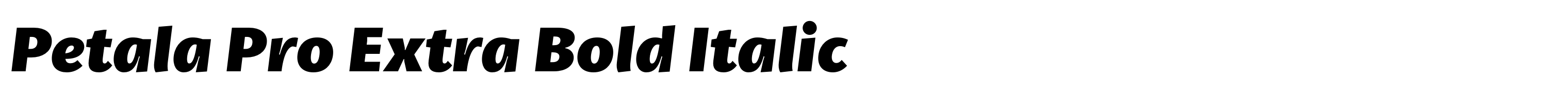 Petala Pro Extra Bold Italic